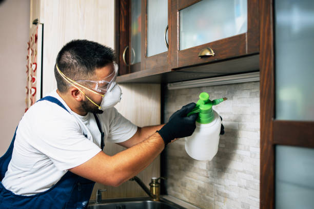 Best Affordable Pest Control Services  in Dillingham, AK