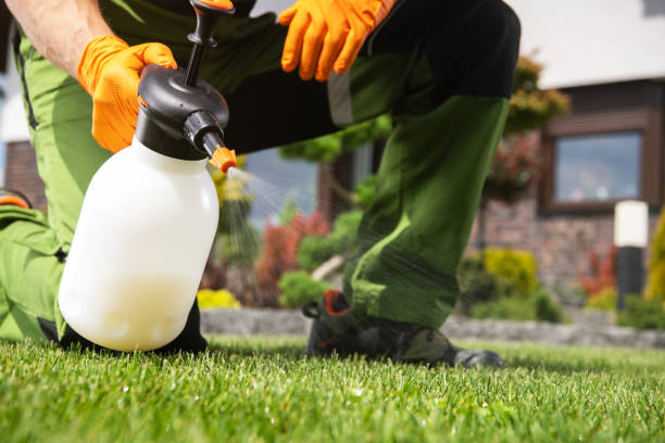 Best Local Pest Control Services  in Dillingham, AK