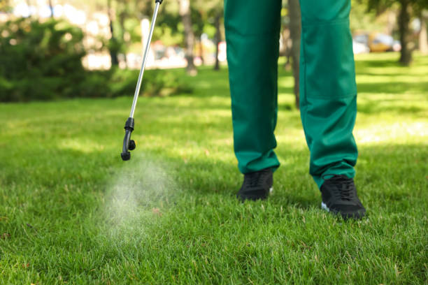 Wasp Removal Services in Dillingham, AK