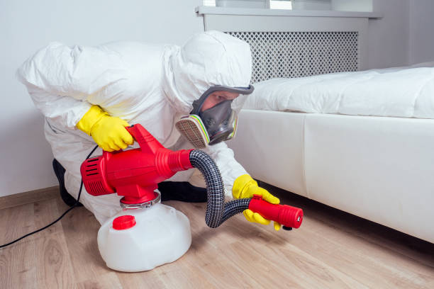 Best Exterminator Services  in Dillingham, AK