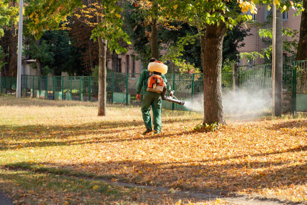 Best Best Pest Control Companies  in Dillingham, AK