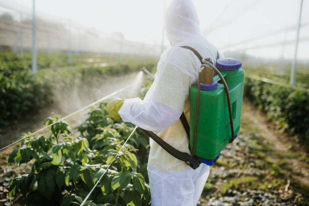 Best Pest Prevention Services  in Dillingham, AK